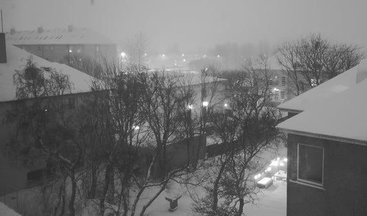 The Struggle of the Latitude: Living in Iceland and Coping with Icelandic Weather and Seasons